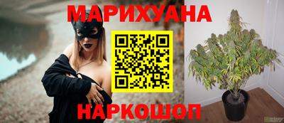 крисы Малгобек