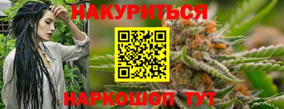 крисы Малгобек