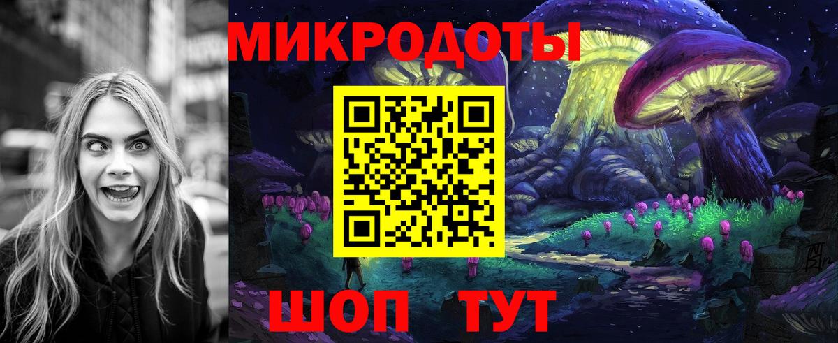 Галлюциногенные грибы Psilocybine cubensis Заволжье